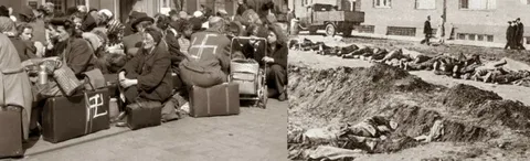Этнические чистки немцев после окончания Второй Мировой Войны.
