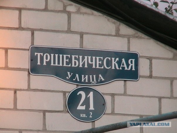 Суровая жисть