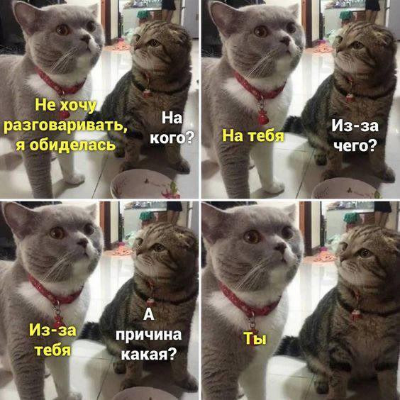 Картинки для деградации 117 (разной степени свежести)