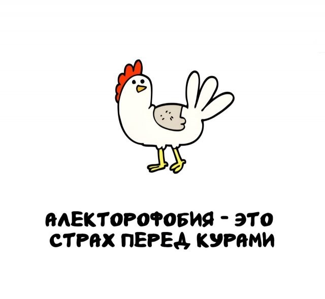 Интересные и короткие факты на все случаи жизни 05.01.26