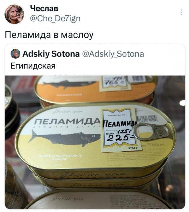 20783741.jpg