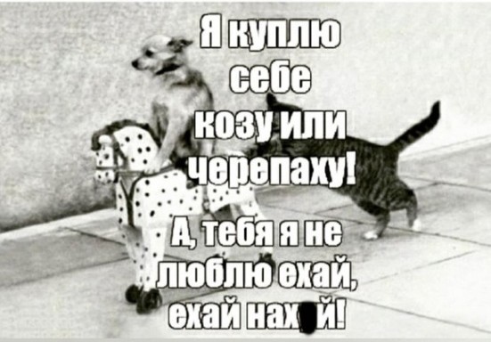 Девушка с челюстью бульдога познакомит вас с основными правилами пикапа