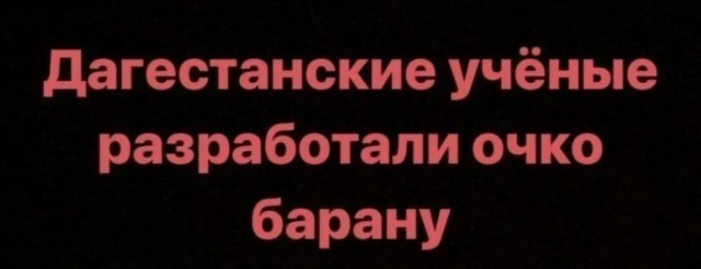 Учёные доказали, что грызунам нравится грызть!