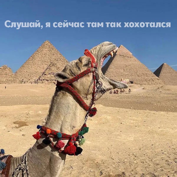 Джейсон Стейтем опубликовал фотографии из Египта на фоне пирамид