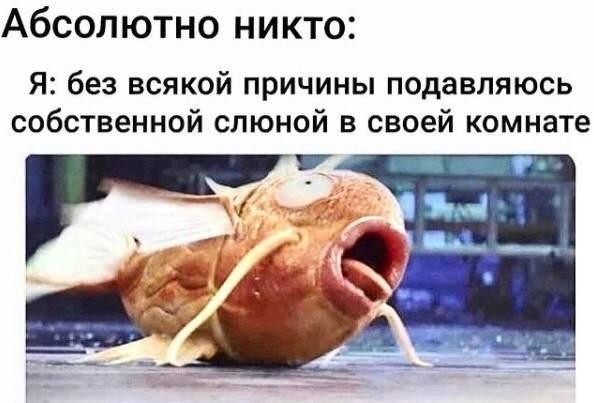 Картинки для деградации 230 (разной степени свежести)