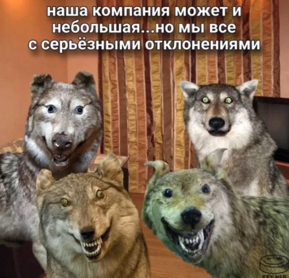 Картинки для деградации 242 (разной степени свежести)