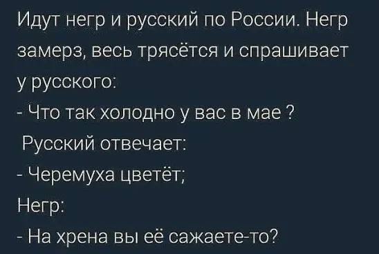 спб бомбят