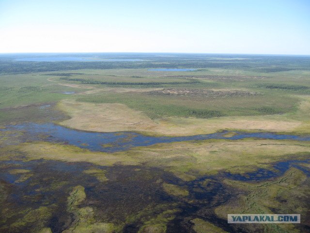 Под крылом самолета