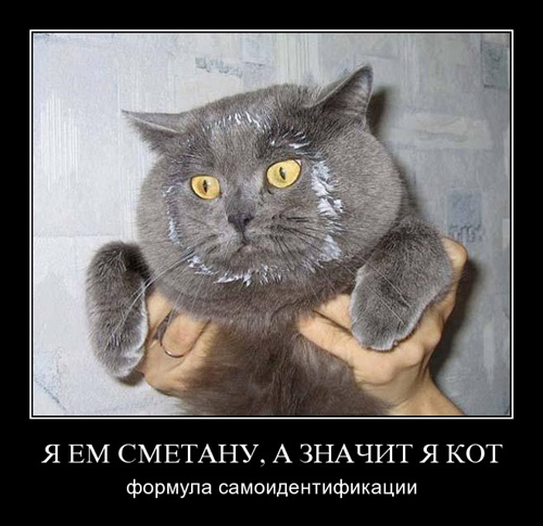 Унываторы (19 фото)