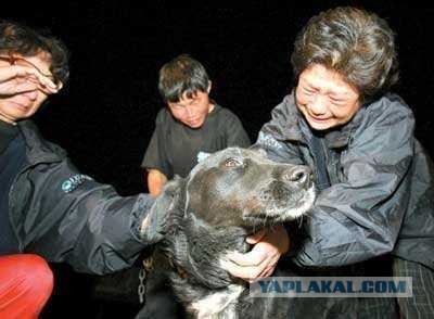 Жрите мясо!