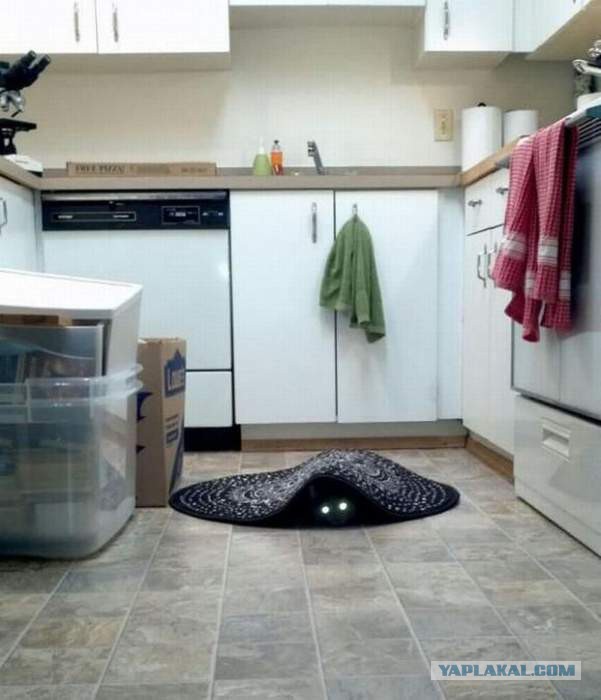 Весёлые картинки. Разбавим будни