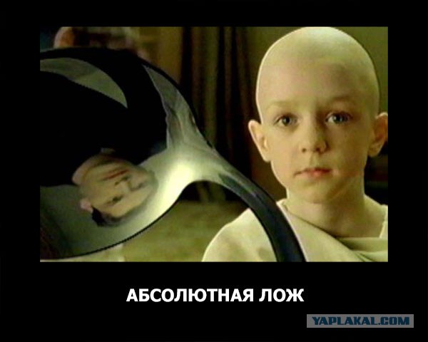 Котик и Россия