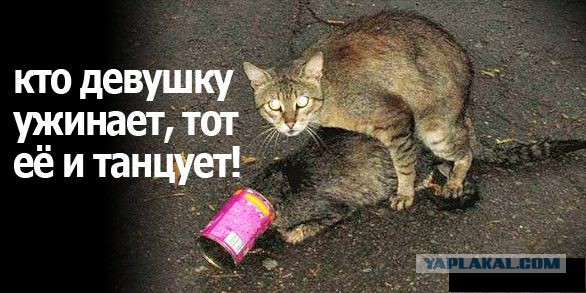 Позитивные картинки