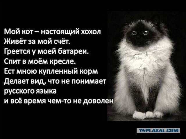 Майдан объявил себя «украинской святыней»