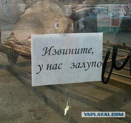 Они сильно извиняются, но у них случился...