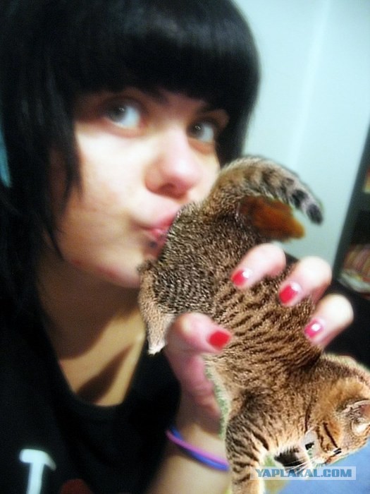 Разбор видео с градами