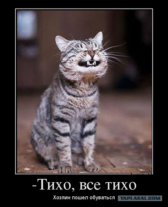 Немного позитива на пятницу