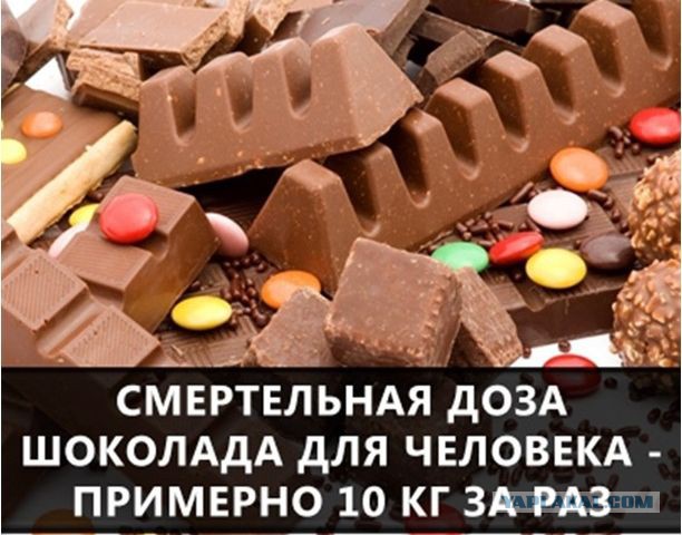 55 Интересных фактов.