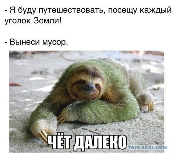 Веселое из сети