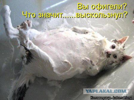 Очередные картинки