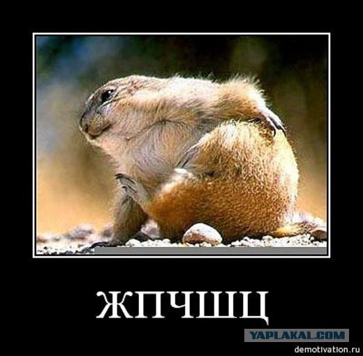 За что я люблю русский язык