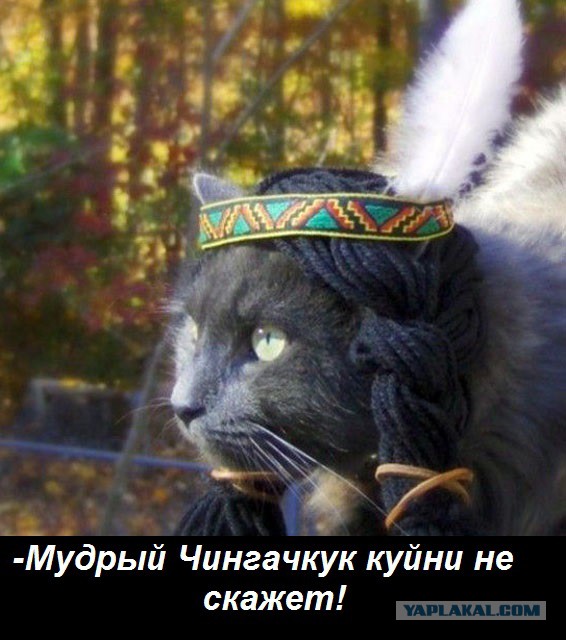 Чингачкук Жжот!