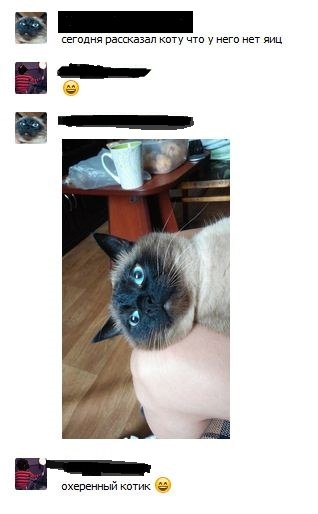 Котовторник  21.07.2015