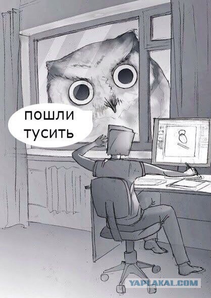 Смешные картинки №...дцать