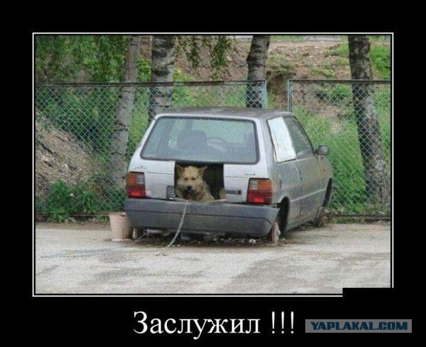 Прикольные картинки для вас!