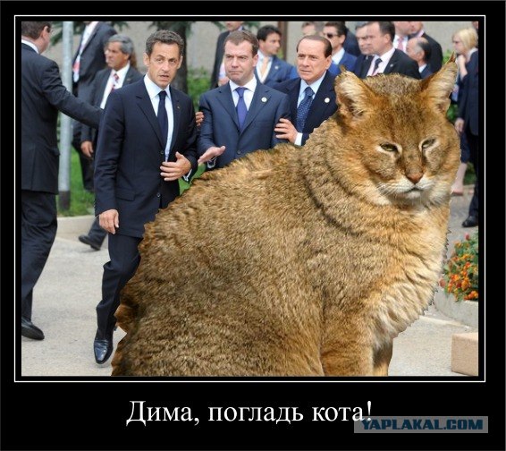 Всё в одном флаконе