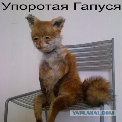 Она знает толк в фотошопе