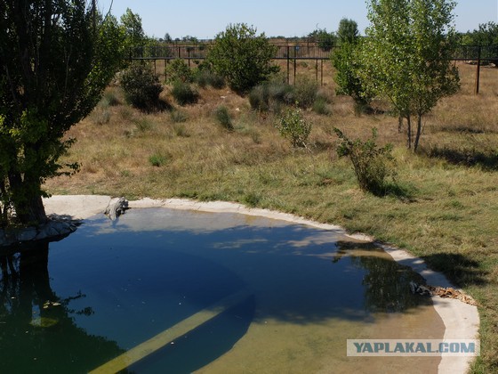 Парк львов Тайган, Крым