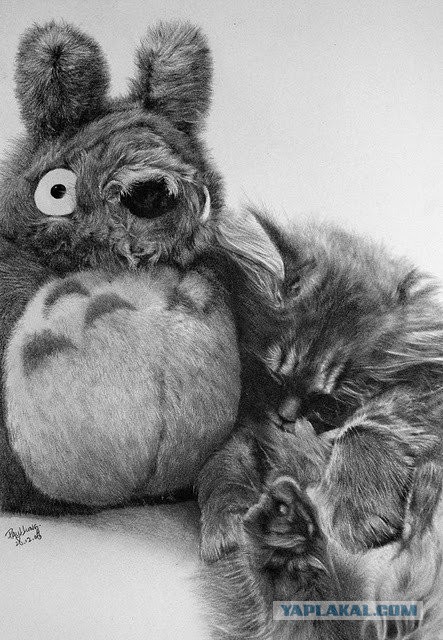 Забавные рисованные кошки