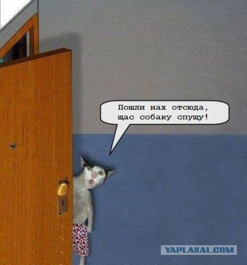 Картинки на пятницу