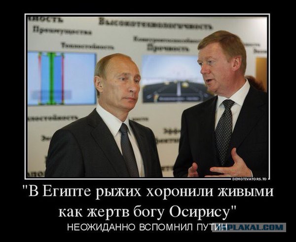 Смешные комментарии 31.01.2016