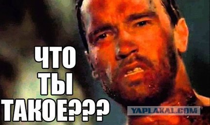Погода на СТС-Челябинск