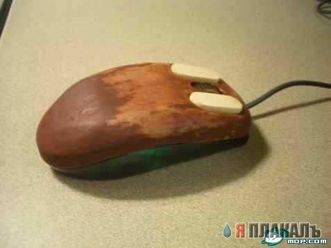 Компьютерные картинки. Все о КОМПЬЮТЕРАХ