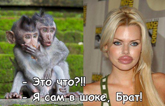 Подборка картинок на среду