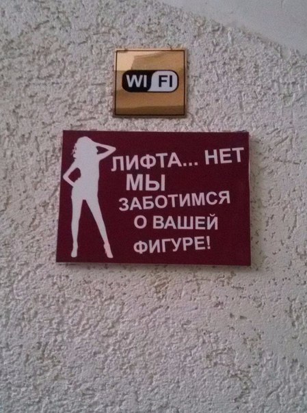 Картинки из сети