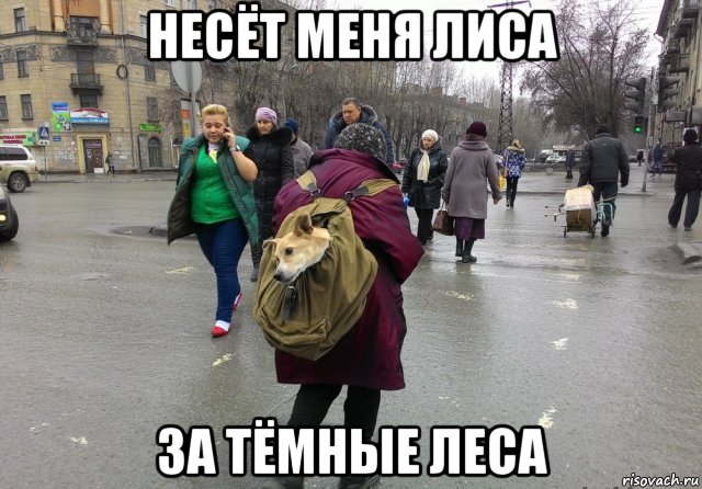 50 приколов по-русски  ч.2