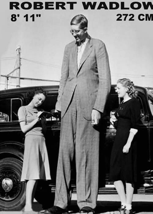 История в фото. Интересные и редкие кадры