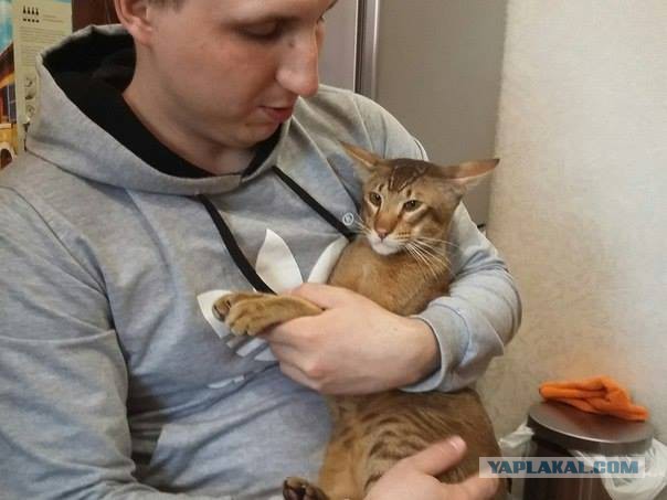 Котовторник 19.04.2016