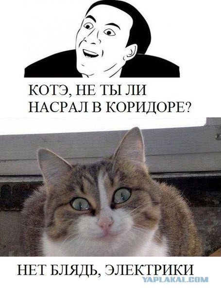 Картинки для поднятия настроения - 4
