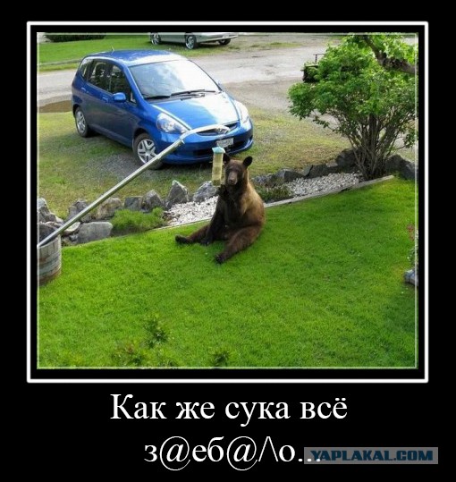 Подборка прикольных фото