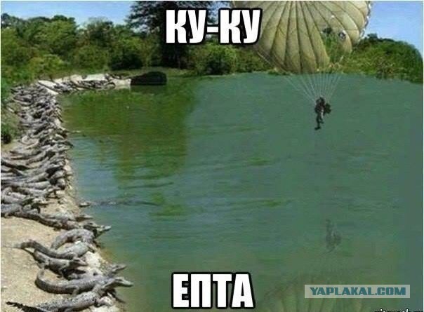 Подборка веселых картинок с тырнета