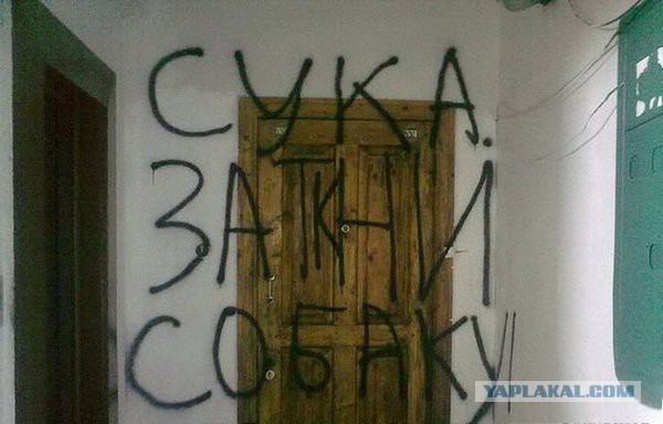 Умом Россию не понять, аршином общим не измерить…