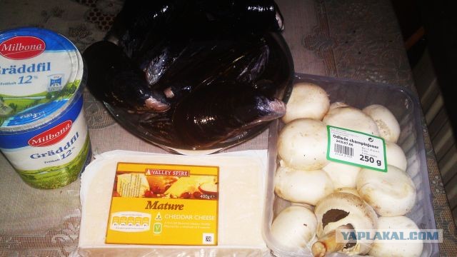 International одной книги., В память о Дженибеке.