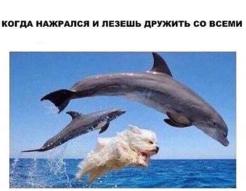 Асоциальных и не только картинок пост