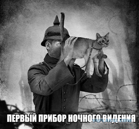 Всякие разные картинки
