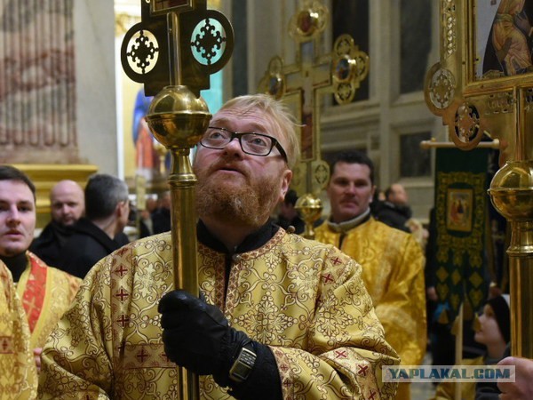 "Ямы с кипящей проституцией". Милонов предлагает запретить сайты знакомств